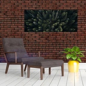 Tablou - Pădure (120x50 cm)