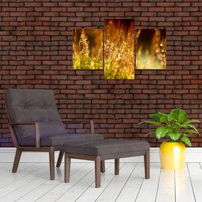 Tablou - Detaliu rouă (90x60 cm)