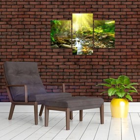Tablou cu râul în pădurea verde (90x60 cm)