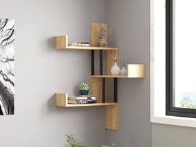 Raft Dinasa (stejar zafir) . 1095987