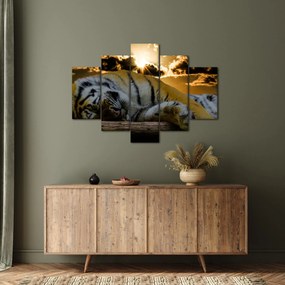Tablou tigrul dormind (150x105 cm)