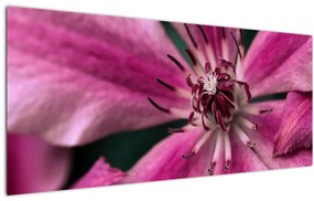Tablou cu floarea roz de clematis (120x50 cm)