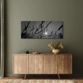 Tablou - Pajiște cu apus de soare (120x50 cm)