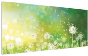 Tablou - Păpădie înflorită (120x50 cm)