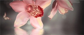 Tablou - Flori și fluture (120x50 cm)