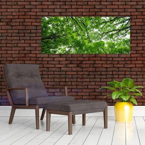Tablou - privire în coroanele pomilor (120x50 cm)