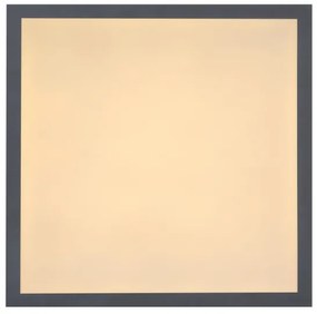 Globo 416080D1 - Plafonieră LED DORO LED/12W/230V