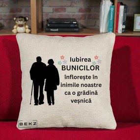 Cadou pentru Bunici - Perna Personalizata Bunicii Iubirea Infloreste Silueta Neagra Flori, 40x40 cm, Bej Canapea, Husa Detasabila, Perna Inclusa, BEKZ®