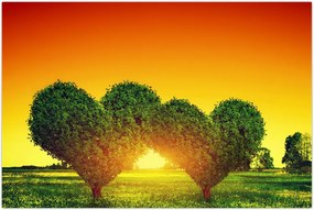 Tablou - Inima în coroanele copacilor (90x60 cm)