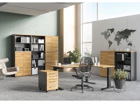 Dulap gri antracit cu aspect de lemn de stejar 42x61 cm Agenda – Germania