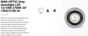 Spot LED incastrabil MINI-OPTIC Grey downlight LED 12/18W 2700K 20° 1565/2100 lm