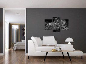 Tablou - Gheparzi care se odihnesc (90x60 cm)
