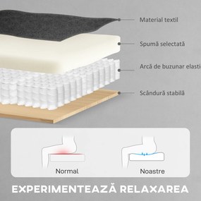 HOMCOM Fotoliu Reclinabil Electric Brushless cu Suport pentru Picioare Negru | Aosom Romania