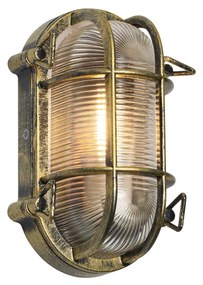 Lampă de exterior de perete și de plafon auriu antic 5,2 cm ovală IP44 - Noutica