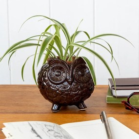 Ghiveci decorativ din ceramică ø 11 cm Owl – Rex London