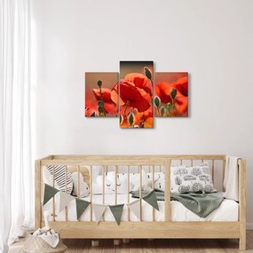 Tablou cu flori de maci (90x60 cm)