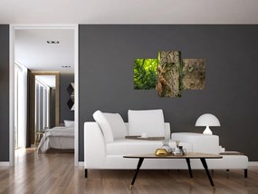 Tablou - Veverița (90x60 cm)