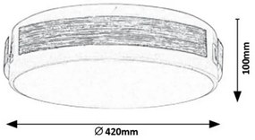 Rabalux 5646 - Plafonieră LED SALMA reglabilă, 24W, 230V