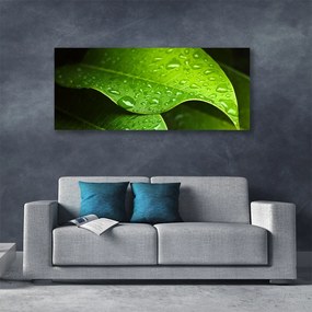 Tablou pe panza canvas Picături de rouă Leaf Floral Verde