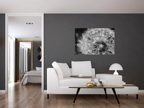 Tablou - mulțime de păpădii (90x60 cm)