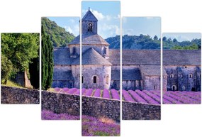 Tablou - Câmp de lavandă (150x105 cm)