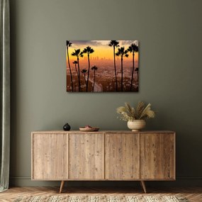 Tablou - Panorama din Los Angeles (70x50 cm)