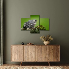 Tablou - Muscarul (90x60 cm)