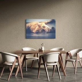 Tablou - Pisici pe podea (90x60 cm)
