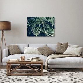 Tablou pe sticlă cu frunze de ferigă (70x50 cm)