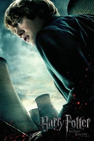 Poster de artă Harry Potter - Ron Weasley