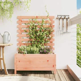 vidaXL Jardinieră grădină cu raft, 79x39,5x114 cm, lemn masiv douglas
