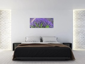 Tablou - lavanda (120x50 cm)
