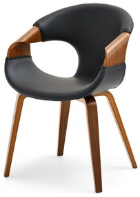 Scaun Kurt (nuc). 1111100