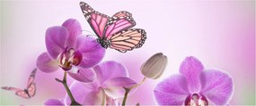 Tablou - Fluture pe flori de orhidee, liliac (120x50 cm)
