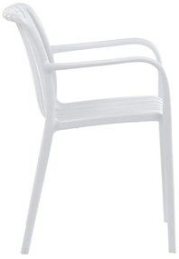 Set de scaune de sufragerie CT-X7029 WT, 4 buc
