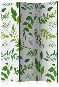 Paravan - Green Twigs [Room Dividers]