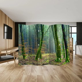 Paravan - Pădure (210x170 cm)