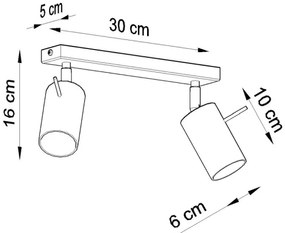 Spot RING 2xGU10/40W/230V
