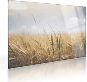 Tablou pe sticlă cu grâne (70x50 cm)