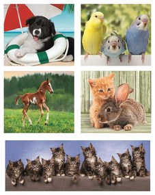 Animale Friends Puzzle 10 în 1 Clementoni