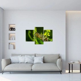 Tablou cu omide (90x60 cm)
