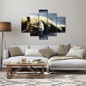 Tablou cu pisica (150x105 cm)