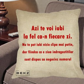 Cadou pentru Iubita - Perna Personalizata Azi Te Voi Iubi, 40x40 cm, Crem, Husa Detasabila, Perna Inclusa, BEKZ®