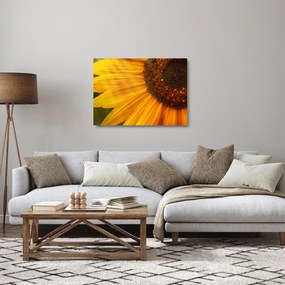 Tablou pe sticlă - Floarea-soarelui (70x50 cm)