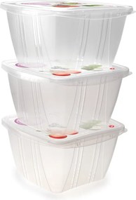 Caserole pentru alimente 3 buc. – Snips