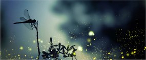 Tablou - Libelula în noaptea strălucitoare (120x50 cm)