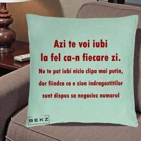 Cadou pentru Iubita - Perna Personalizata Azi Te Voi Iubi, 40x40 cm, Verde Menta, Husa Detasabila, Perna Inclusa, BEKZ®