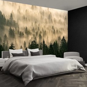Fototapet Misty Forest