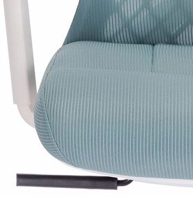 Scaun rotativ ergonomic de birou Ergomax, patină