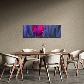 Tablou mugure de lalea (cu ceas) (90x30 cm)